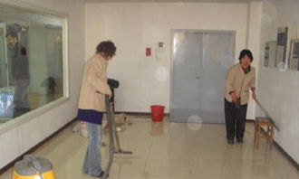 新居煥新顏 全方位保潔服務(wù)指南